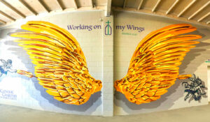 wings